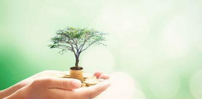 a tree growing out of a pile of coins.